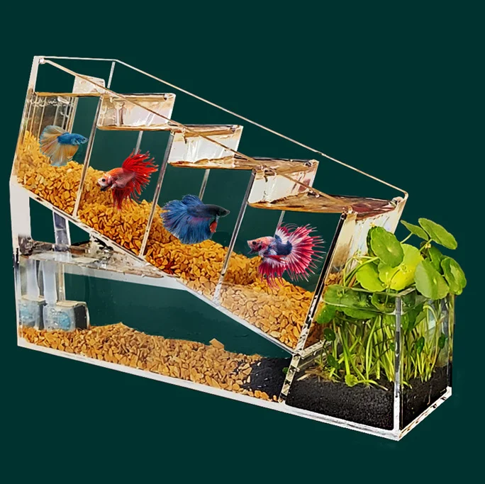 Small multi grid Betta Fish Tank mixed culture isolation circulating filtration Acrylic Desktop landscaping decorative