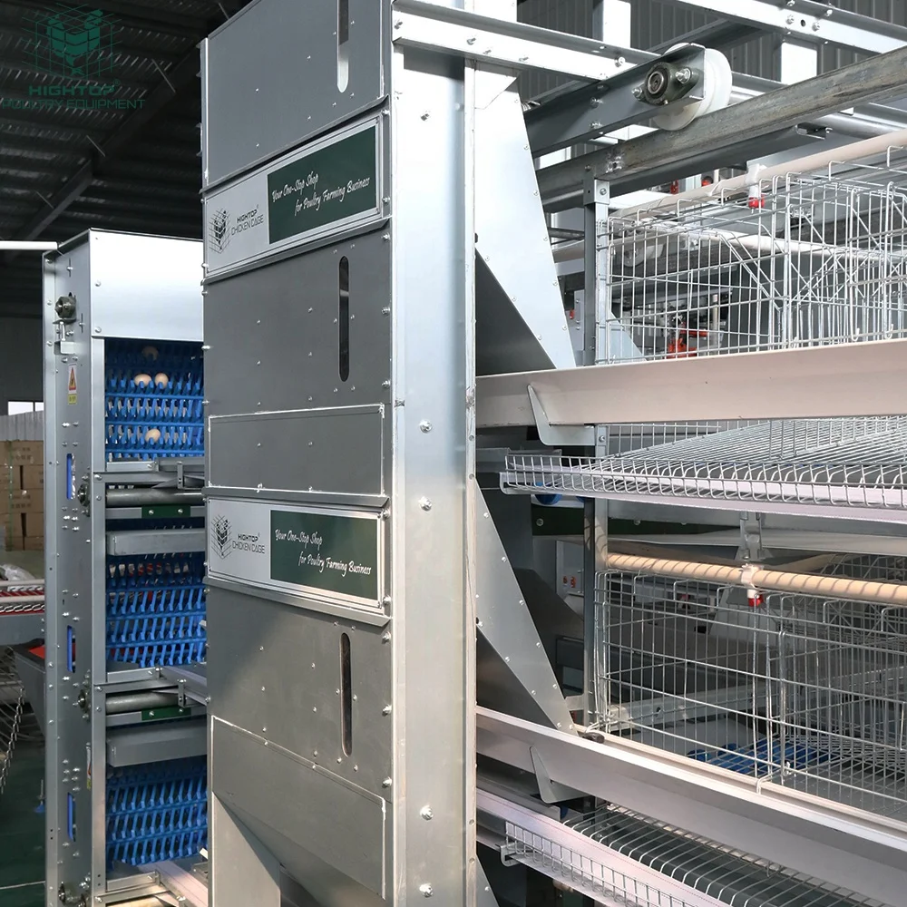 Fully Automatic Poultry Farming Equipment H Type Laying Hens Cage Battery System Egg Layer Chicken Cages