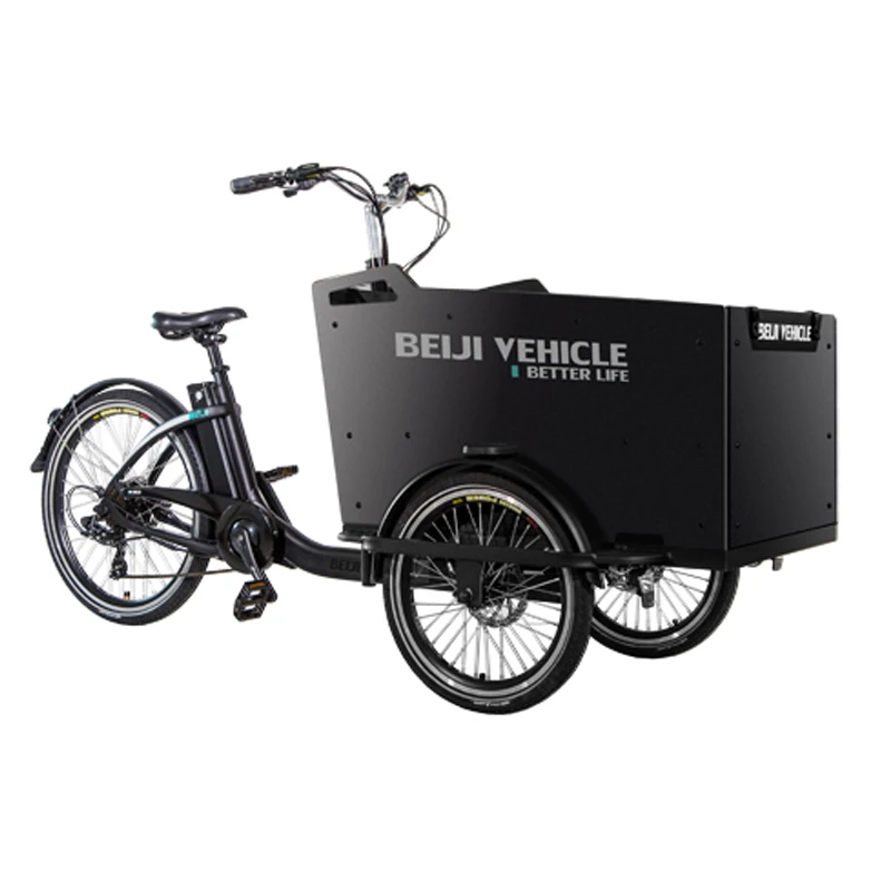 250w electric cargo bike  for children cargo bike manufacturers in China 3 wheel tricycle