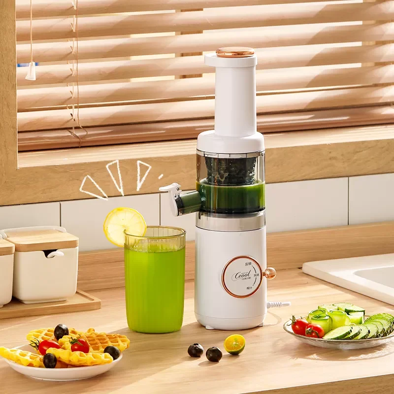 New design original juicer household automatic slag juice separation filter-free slow juicer