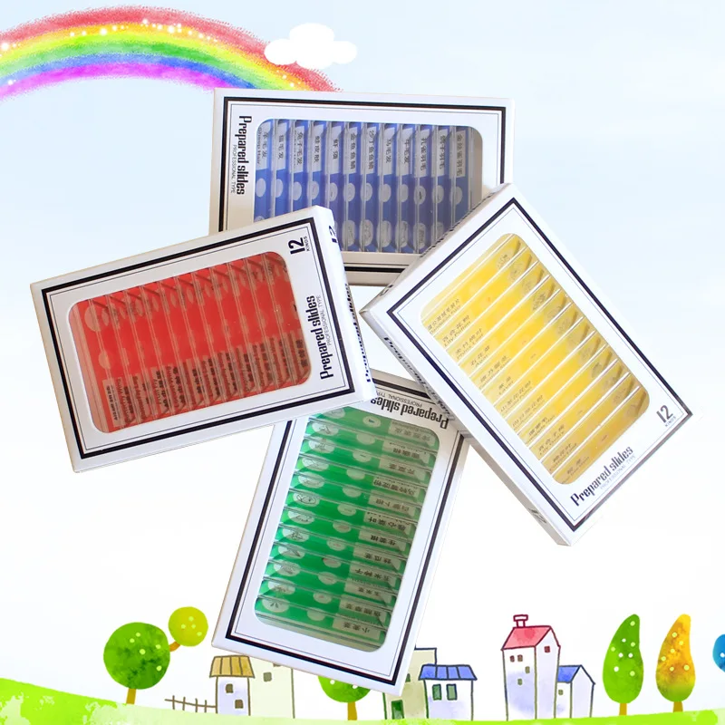 48 Pieces Children Plastic Prepared Slides Sets Biological Microscope Slides Specimen for Children Education