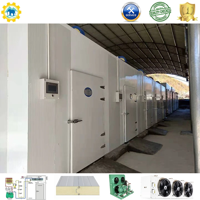 Cold Room Freezer walk in cold storage walk in cold storage freezer room for meat