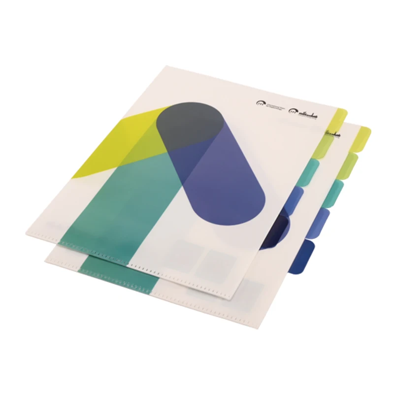 Customized documents accessory filing folder PP  office file folder