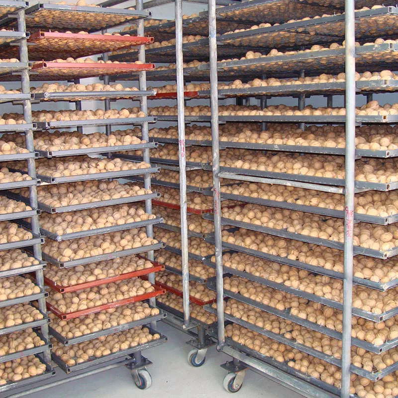 2023 New Listing 33 Xiner Chinese Walnuts in Shell 500g Bulk Dried Raw Style Walnut Kernels