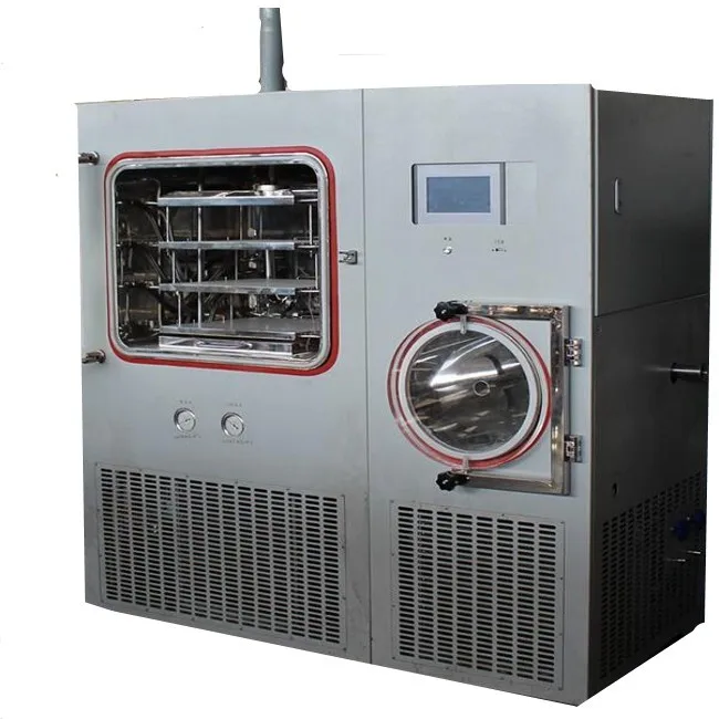 8KG/24h Vegetable Freeze Dryer for Food Factory