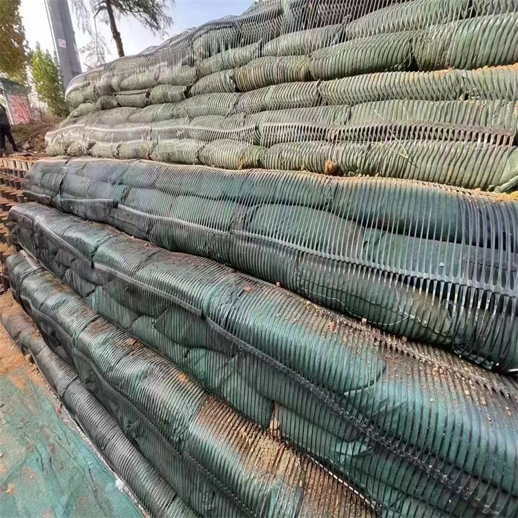 First Class Professional Manufacturer  Plastic HDPE Uniaxial Geogrid