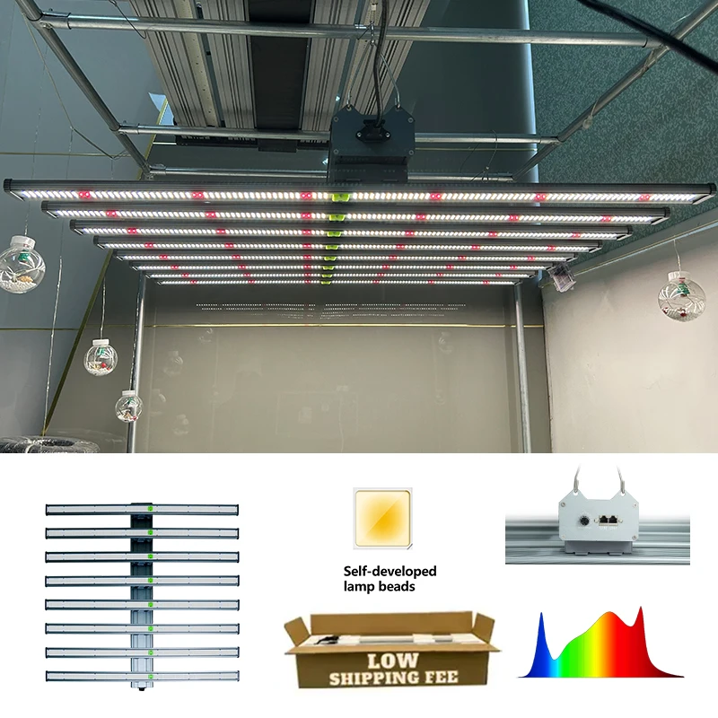 Cheap Wholesale growing B3 1000w 1100W grow light for indoor plant led grow light Grow Light led Customization
