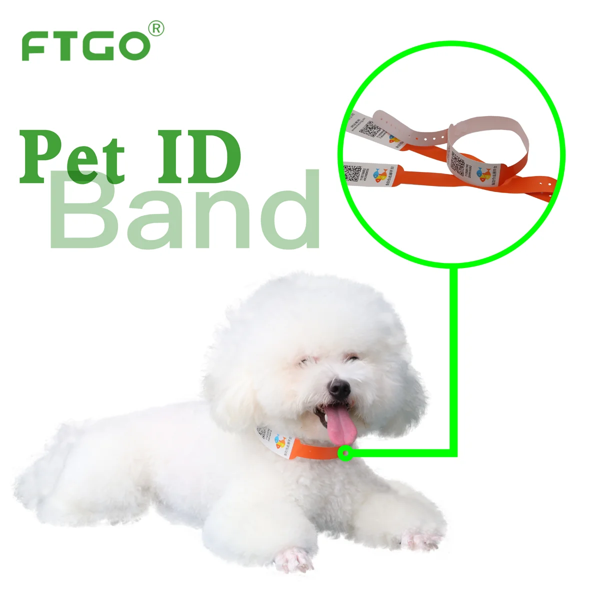 
FTGO Pet ID Band for Small Medium Large Dogs Pitbull Pug 