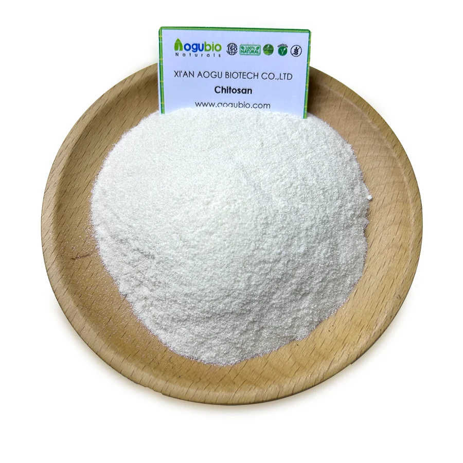 95% Natural Food Grade Chitosan Powder Amino Acid Product Water Soluble Chitosan CAS 9012-76-4 Chitosan Powder