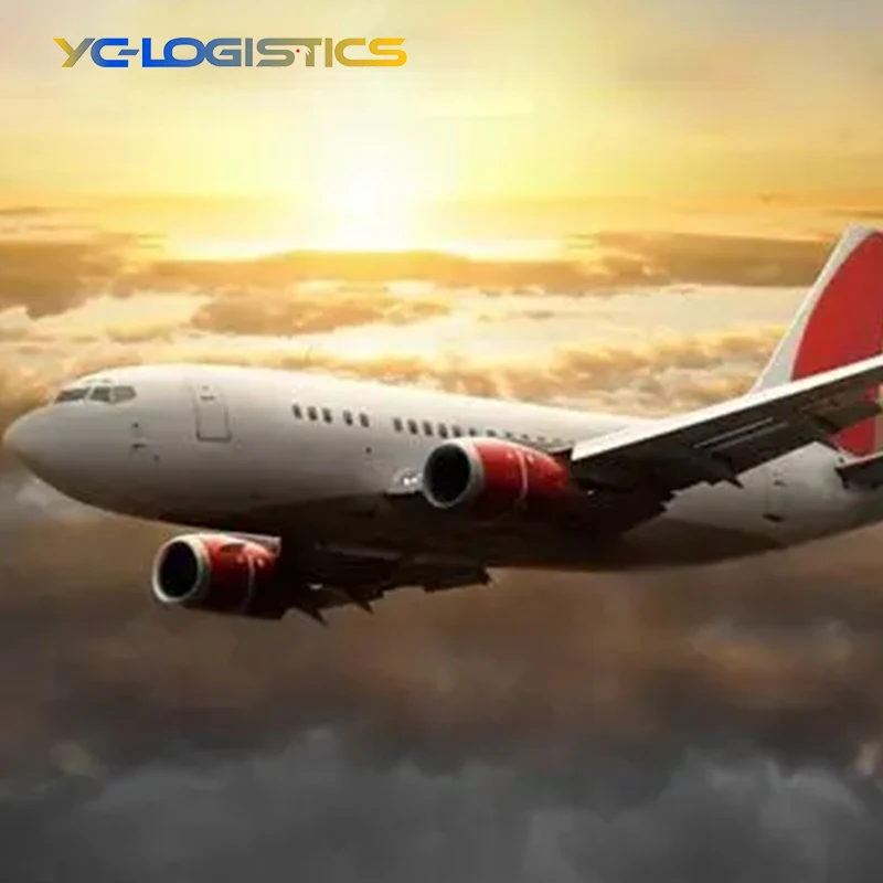 International Shipping & Cargo Agent: Expert Freight Forwarding from China to USA with DDP Services