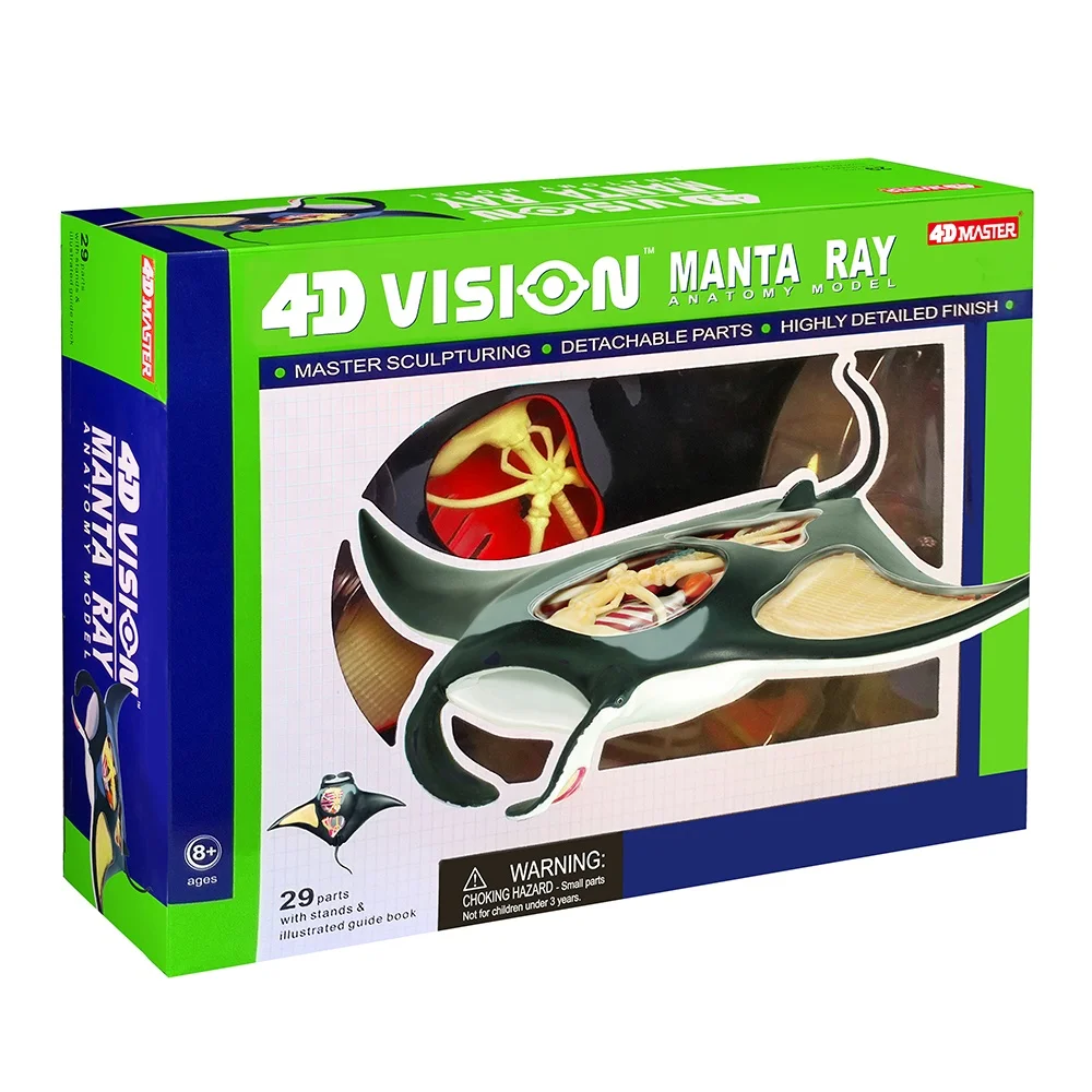 4D Master Educational STEM Biology Figure 4D Vision Ocean Manta Ray Marine Animal Teach Learn Sea Anatomy Model Plastic Assembly