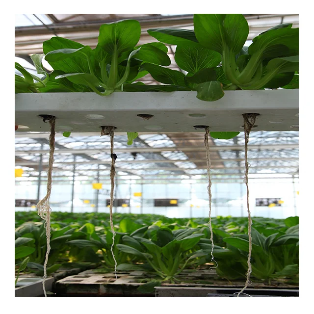 Professional Manufacture DWC Floating Hydroponics System Planting with PH Control