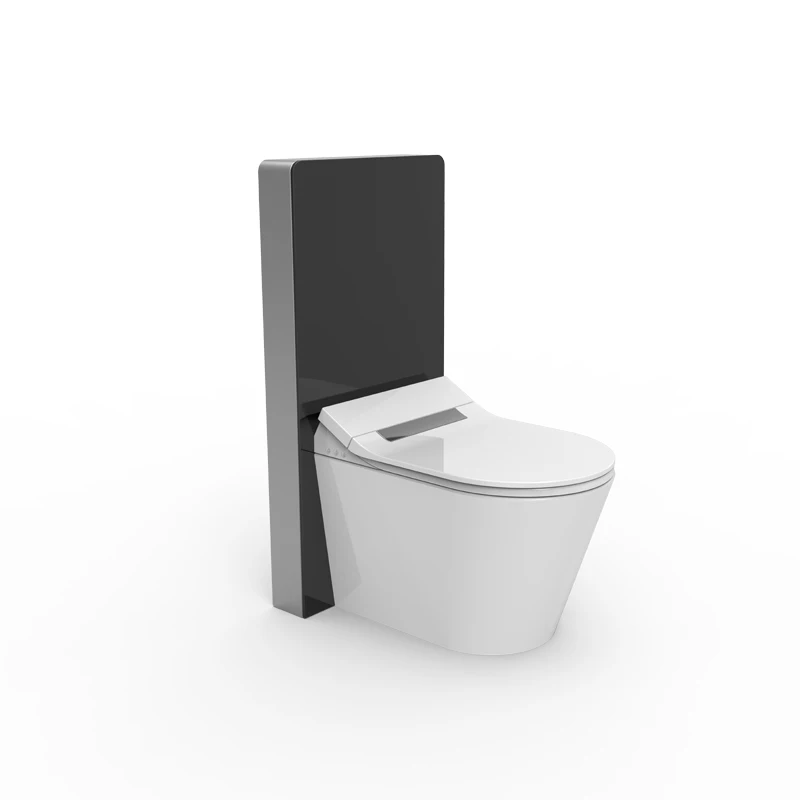 European Standard Bathroom Buttocks Washing Smart Toilet Seat Cover, Toilet Seats, Electronic Toilet Seat