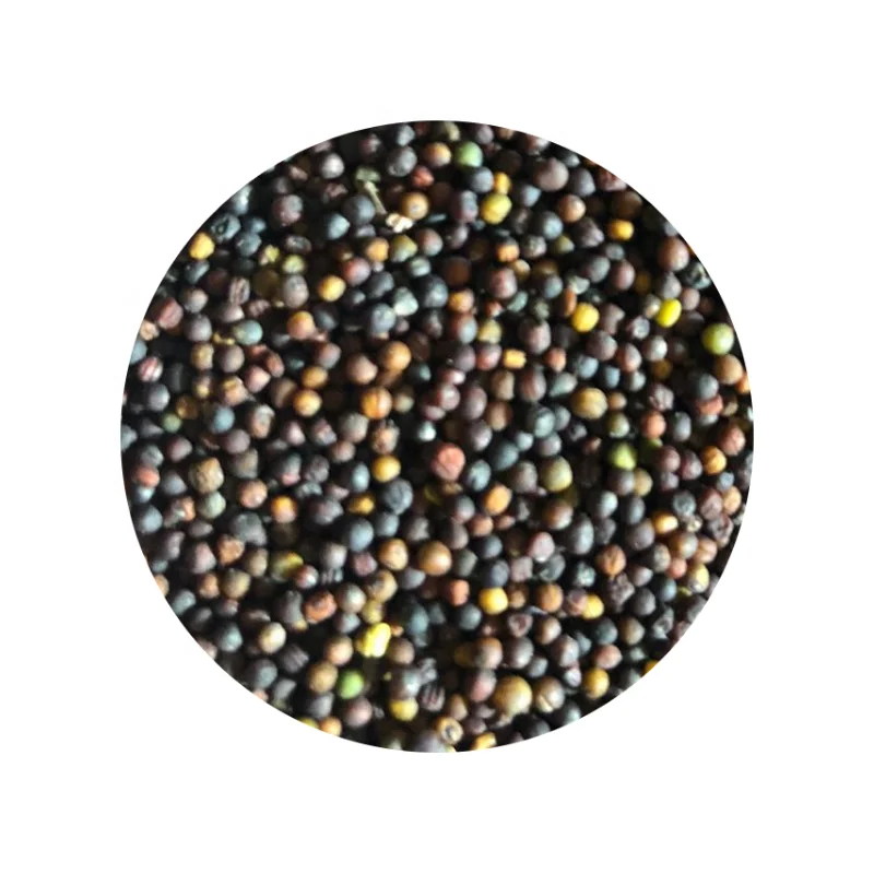 
Семена рапы 500 м 