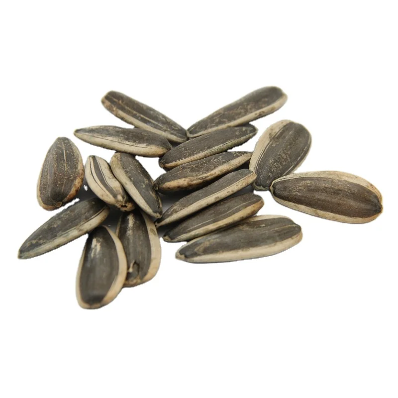 sunflower seeds for birds feed