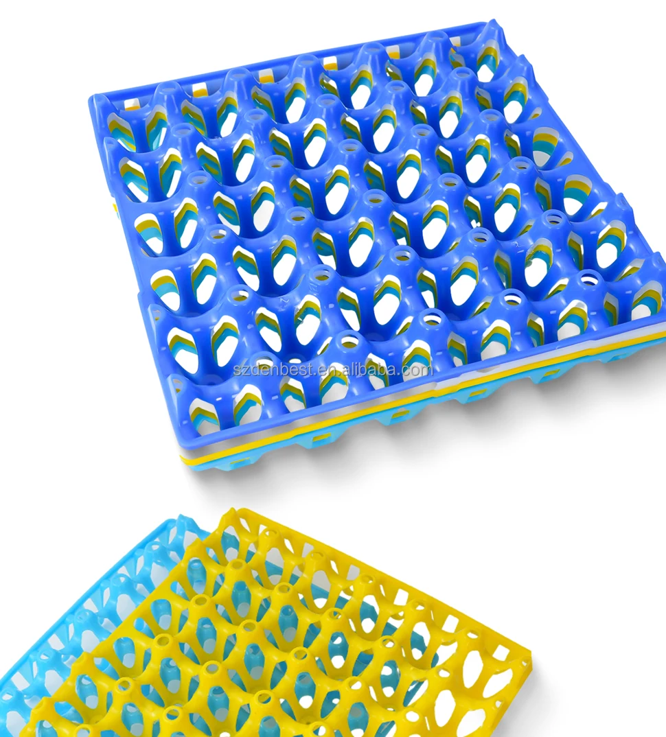 Egg tray-36.jpg