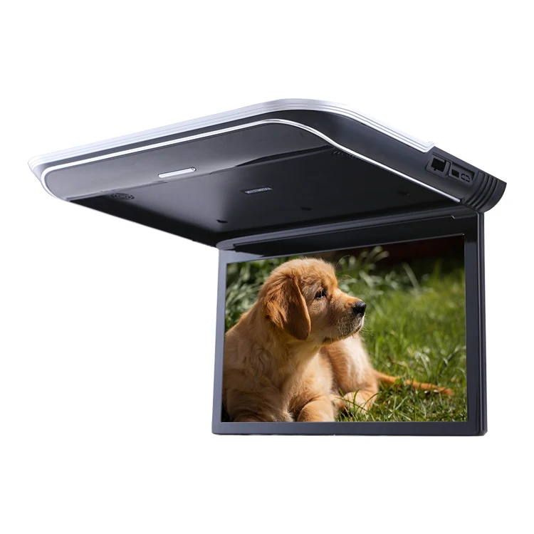 19 Inch LED DC12V Smart Android Display Car Roof Monitor With TV