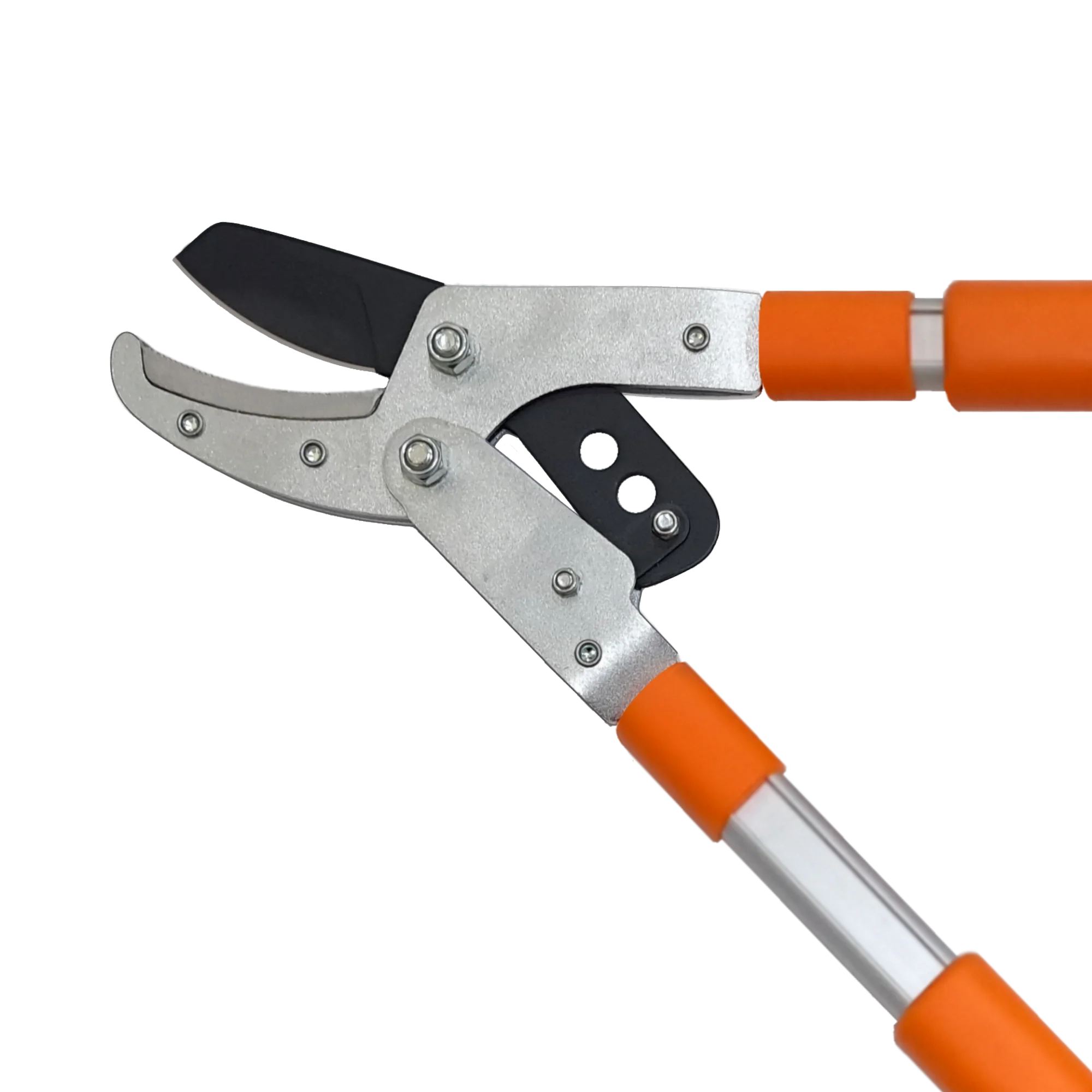 Taiwan Supplier Hc-3121Tw Compound-Action Anvil Lopper Garden Pruning Shears Cutter Long Handle