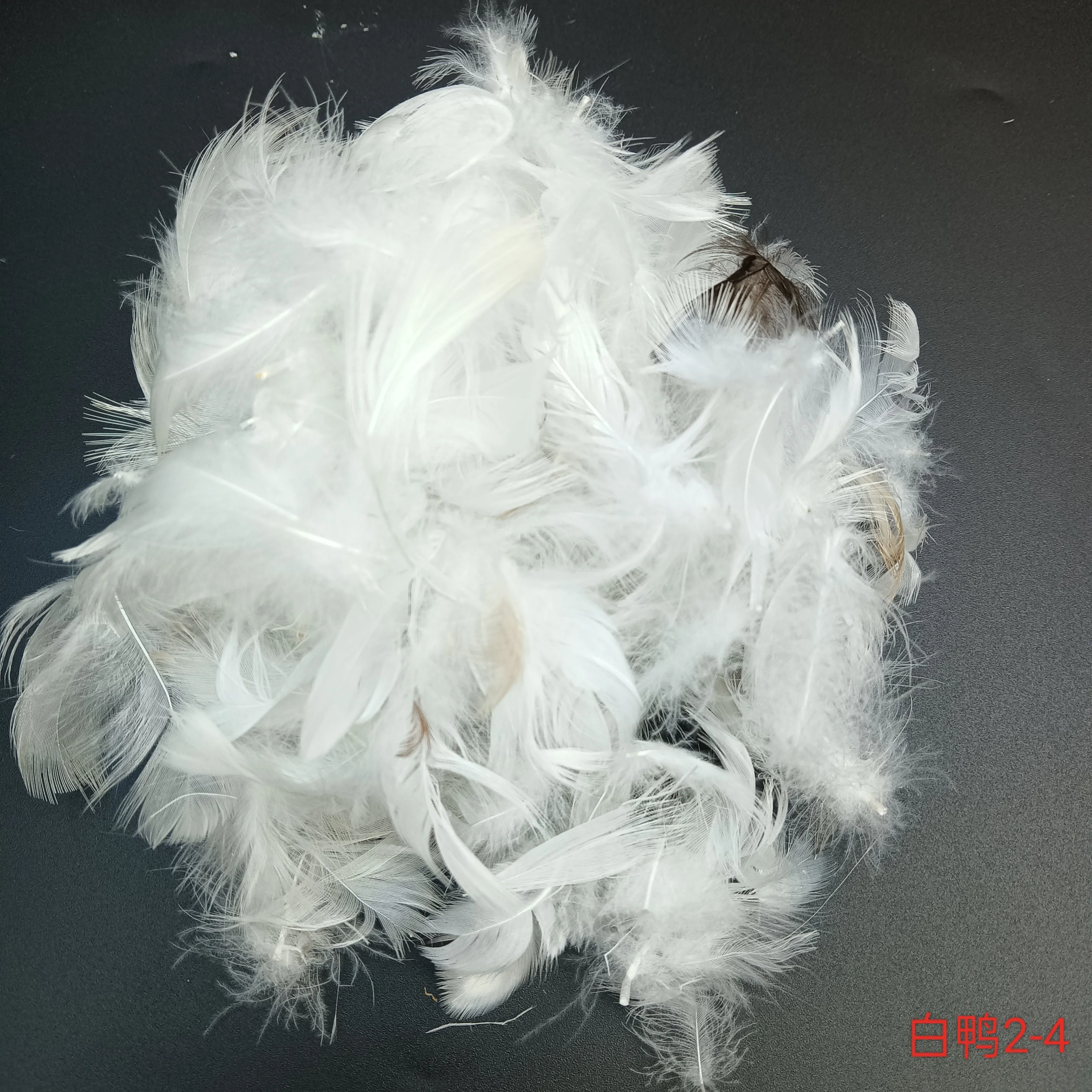 Wholesale Grey Goose Velvet down Jacket High Quality Product with Velvet Outer Material and down Filling