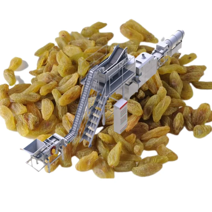 Full automatic 2000 kg raisin polishing machine raisin process line for food handling