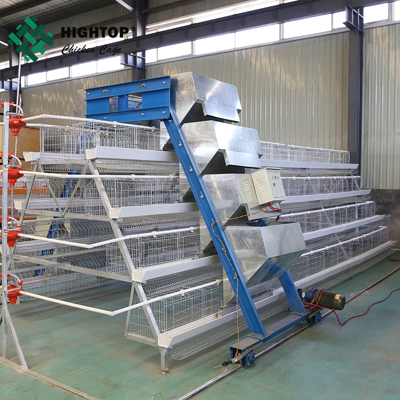 Factory Supply 500 Capacity Big Size Chicken Egg Layer Battery Cages