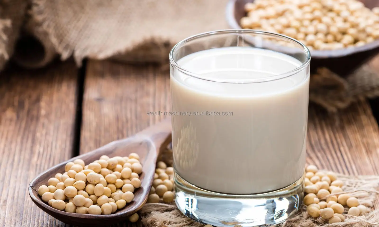 commercial almond soy coconut milk processing machine Spices grinding colloid mill vegetable grinder tiger nut milk machine