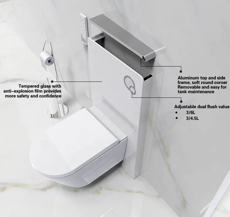 Luxury Bathroom Cistern Floor Standing Dual Flush Glass Cabinet Cistern