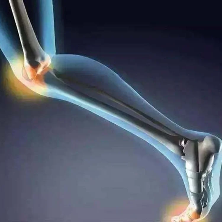 Customized Animal Collagen Hydrolyzed Bovine Beef Collagen Peptide For Increase Bone Density