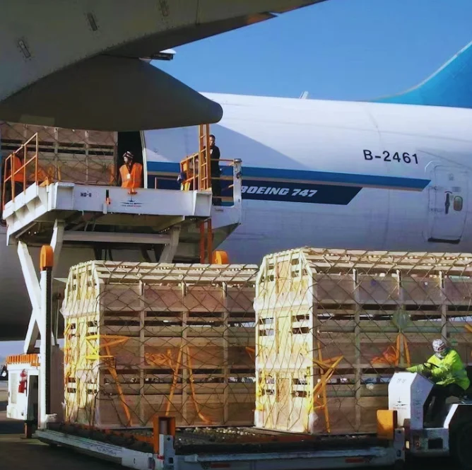 Самая дешевая служба экспресс-доставки DHL в Китае Dhl экспресс-доставка Болгария