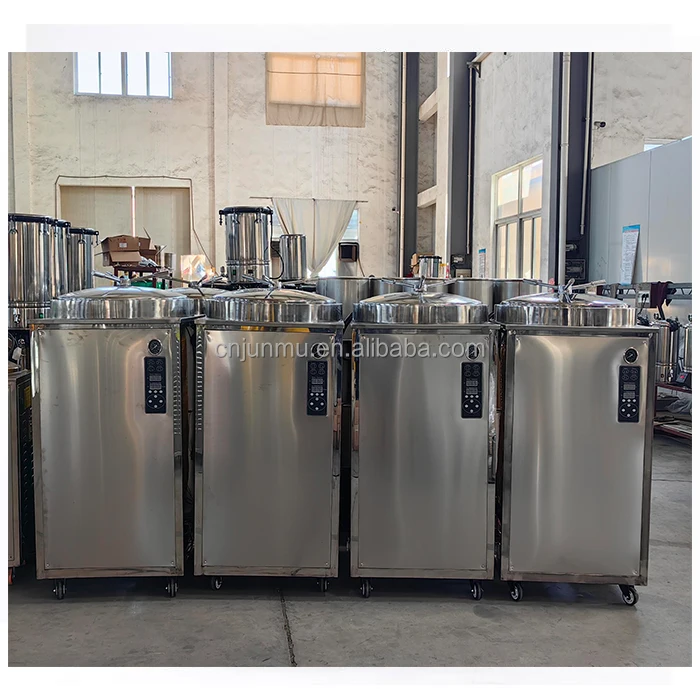 Customized 200 L Sterilizer Autoclave Double Tank Steam Sterilization Machine Vertical Autoclaves for Sale
