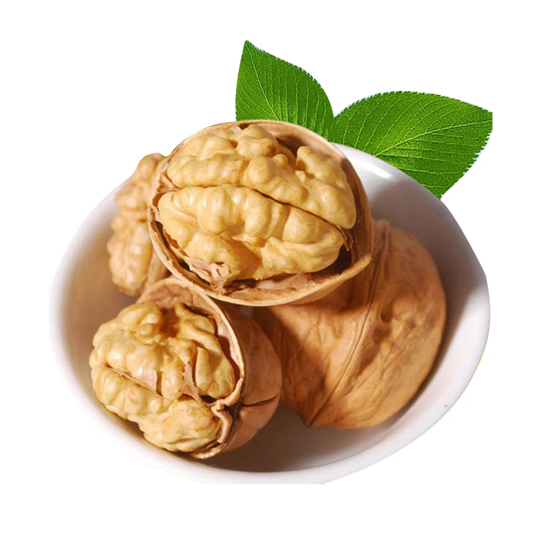 Low MOQ Best Price 185 Walnut Nuts wholesale Top Class Walnut In shell Dried Style Raw Walnut 32mm
