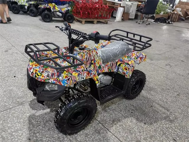 Hot Sale Chinese Kids Snowmobile Dolly Automatic Transmission 2024 New Model Snowmobile Motorcycle Off-Road Vehicle Snowmobile