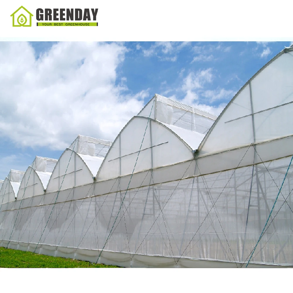 
GREENDAY GT China Tropical Greenhouse Plastic Greenhouse with Strawberry Cultivation Tray 