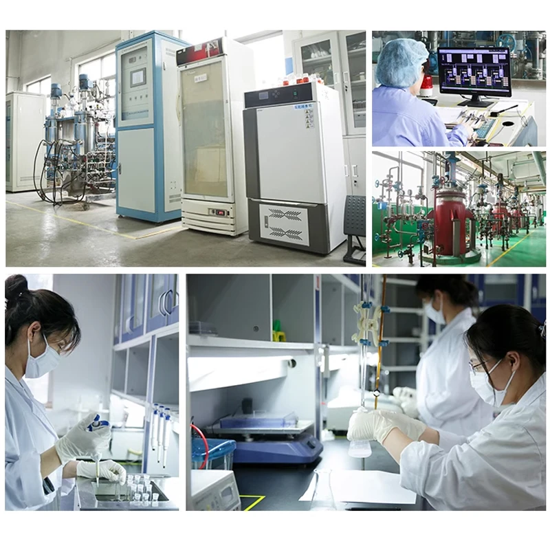 Fungal Diastase Fungal Alpha Amylase Food Grade Powder Non GMO for Bread Baking, Food Processing,etc.