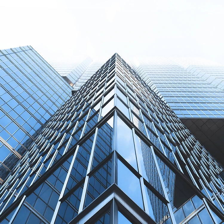 Hot Sale Wall Window Profile System Price Curtain Wall Frame Double Glass Curtain Wall Building Facade