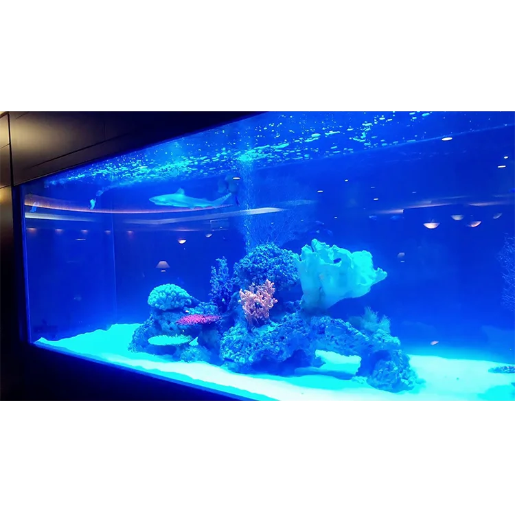 What is Big Size Thick Modern Style Clear Aquariums, Acrylic Aquarium Fish