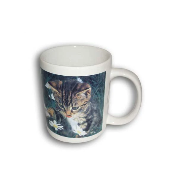 Дорожные кофейные кружки OEM доломита, керамическая кружка в форме кошки для напитков, чайная чашка, рекламные подарки