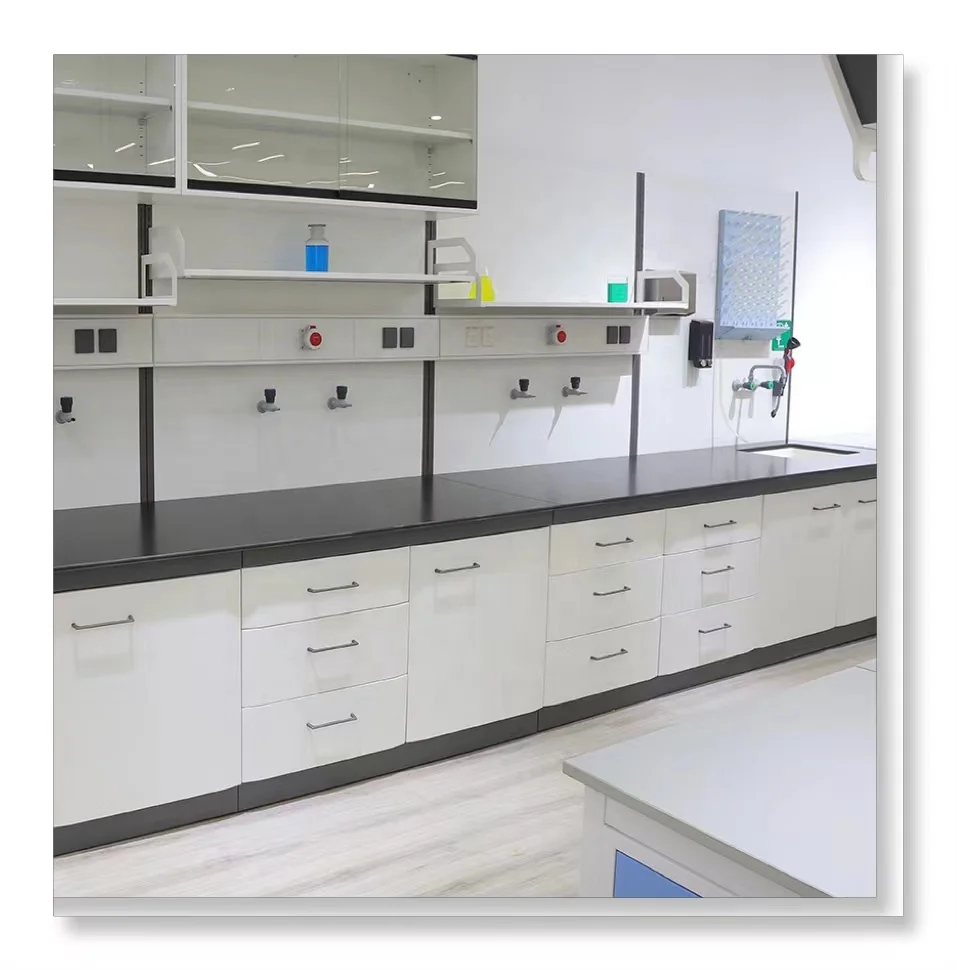 Laboratory Bench Workstation & Laboratory Workbench Price Low Cost To Build Labs