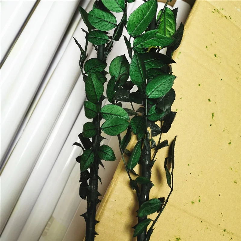 Best quality preserved rose stem 70cm long lasting rose stem real rose stem wholesale