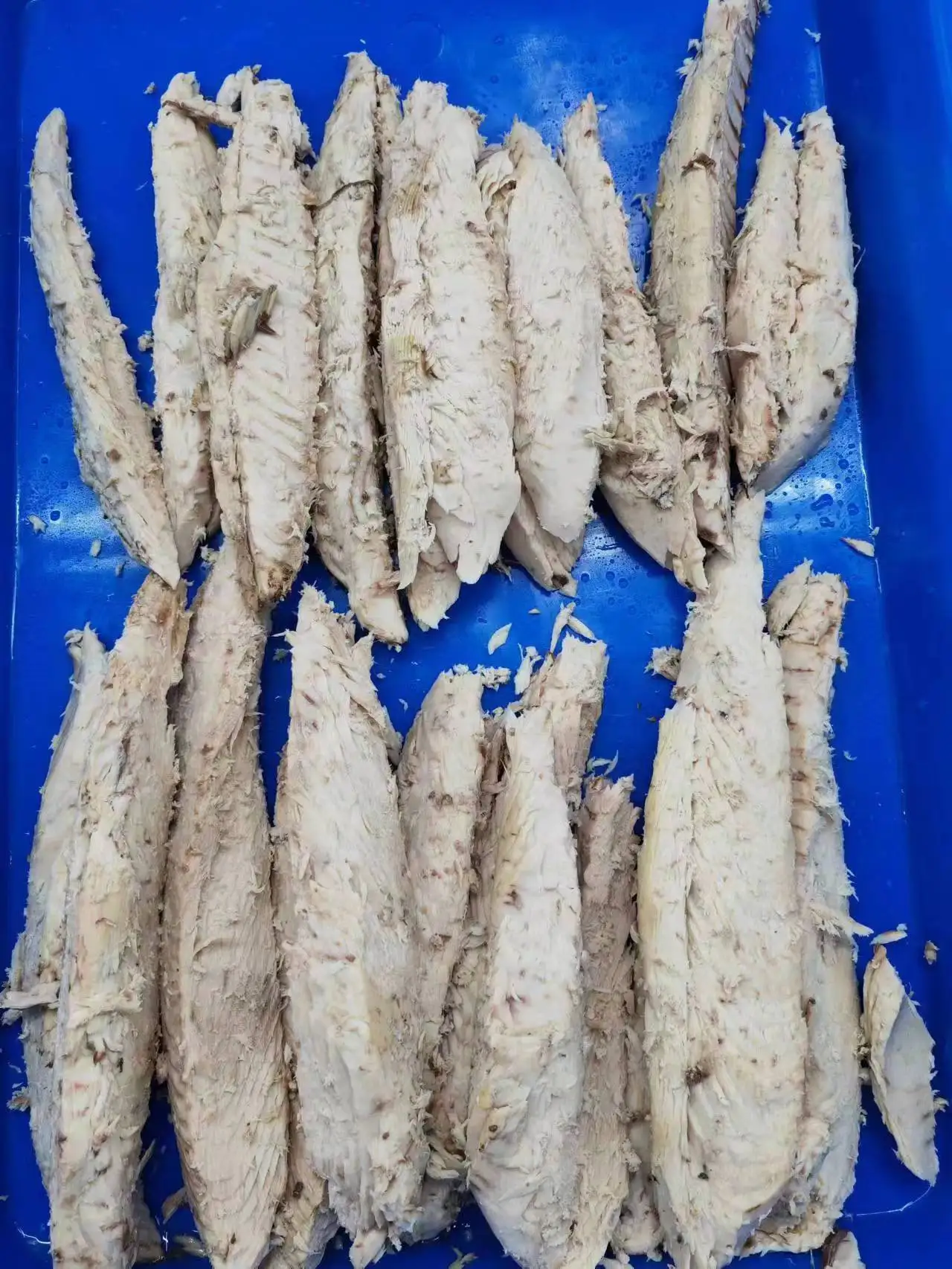 Frozen  Precooked  Skipjack  Bonito Tuna 90% Loin + 10% Flakes for Canned Tuna Seafood hot sale factory delivery