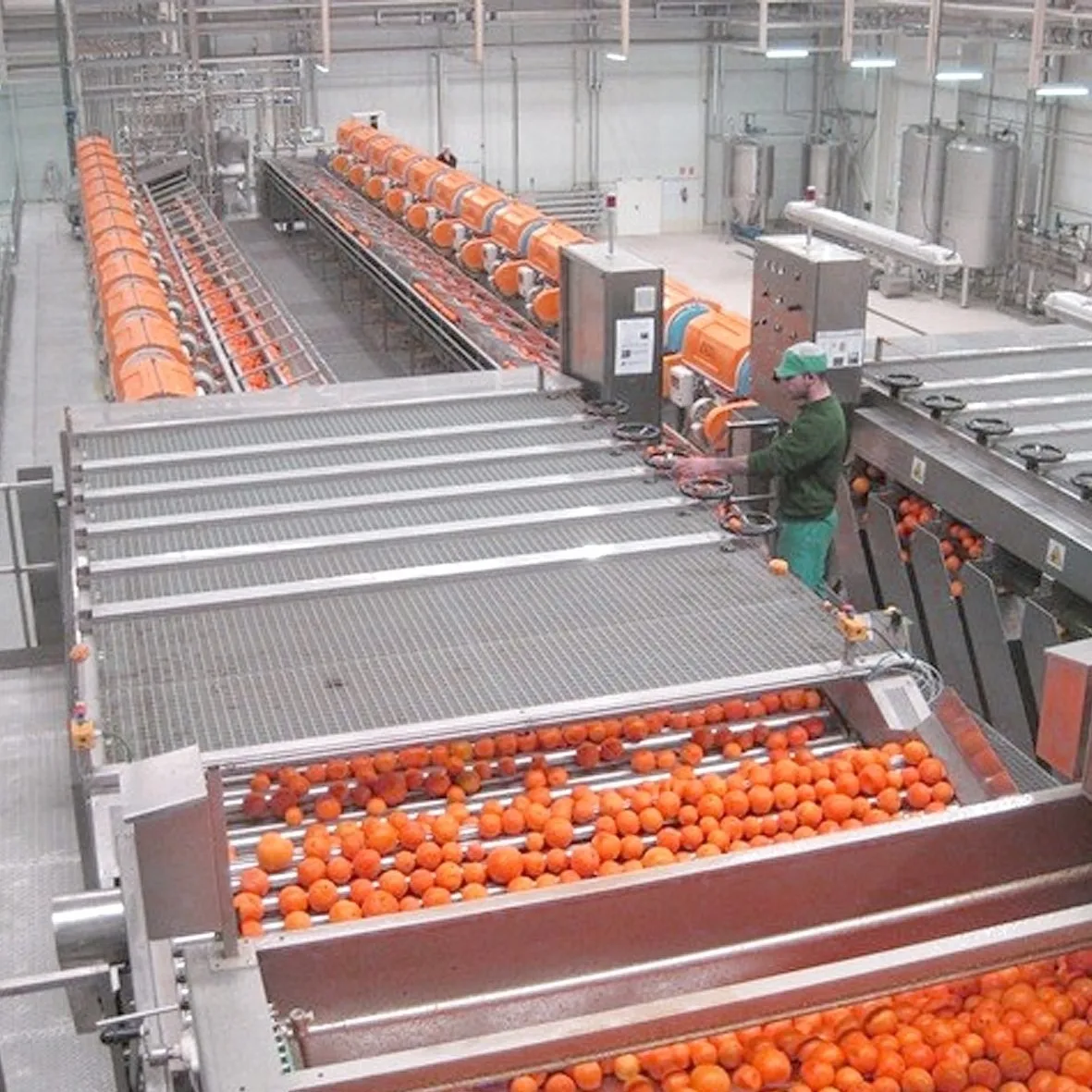 Fruit apricot juice production line cherry sorting machine
