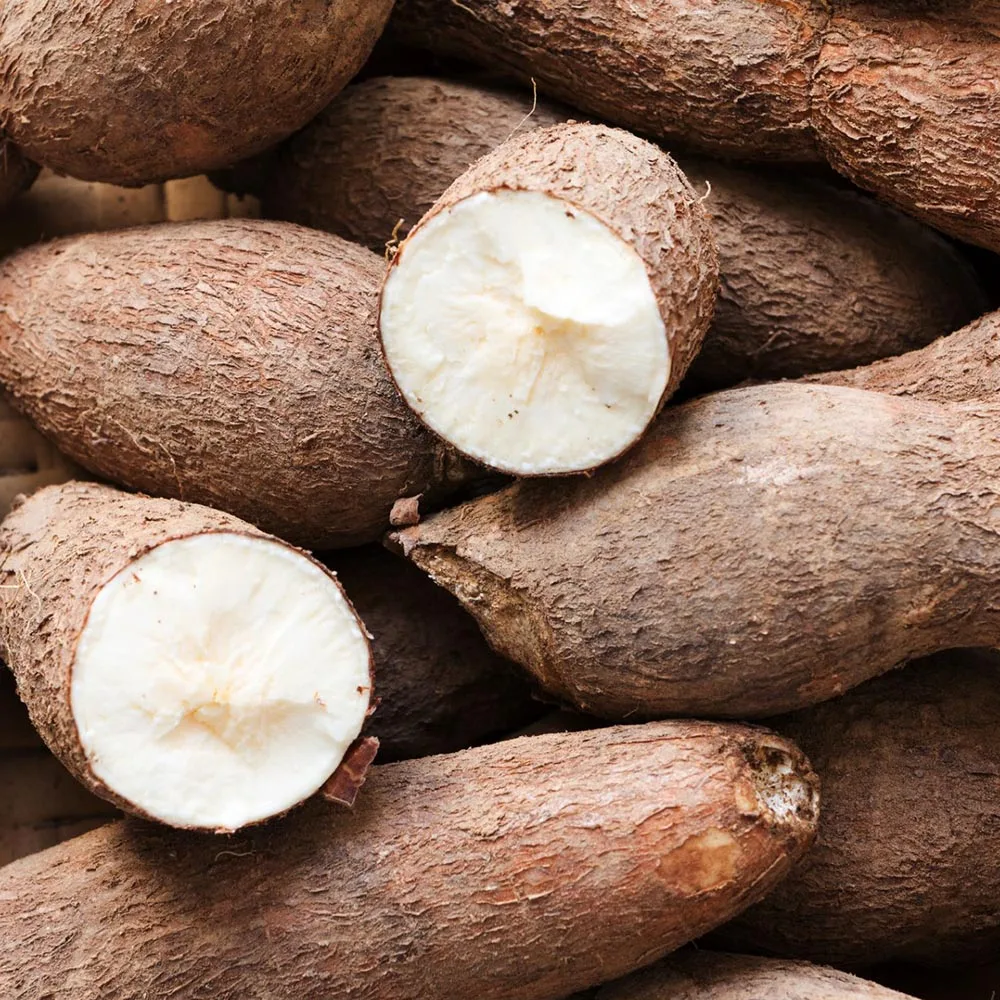 Raw dry Cassava from Vietnam with Competitive price and Fast delivery service/Wholesale dried Cassava