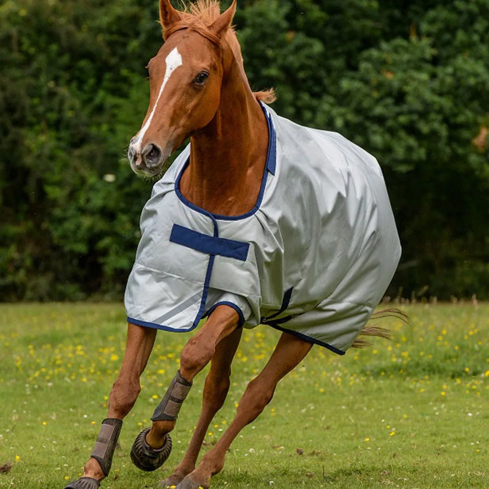 Spring and Autumn Training Horse Blanket Rugs wholesale standard neck horse rugs