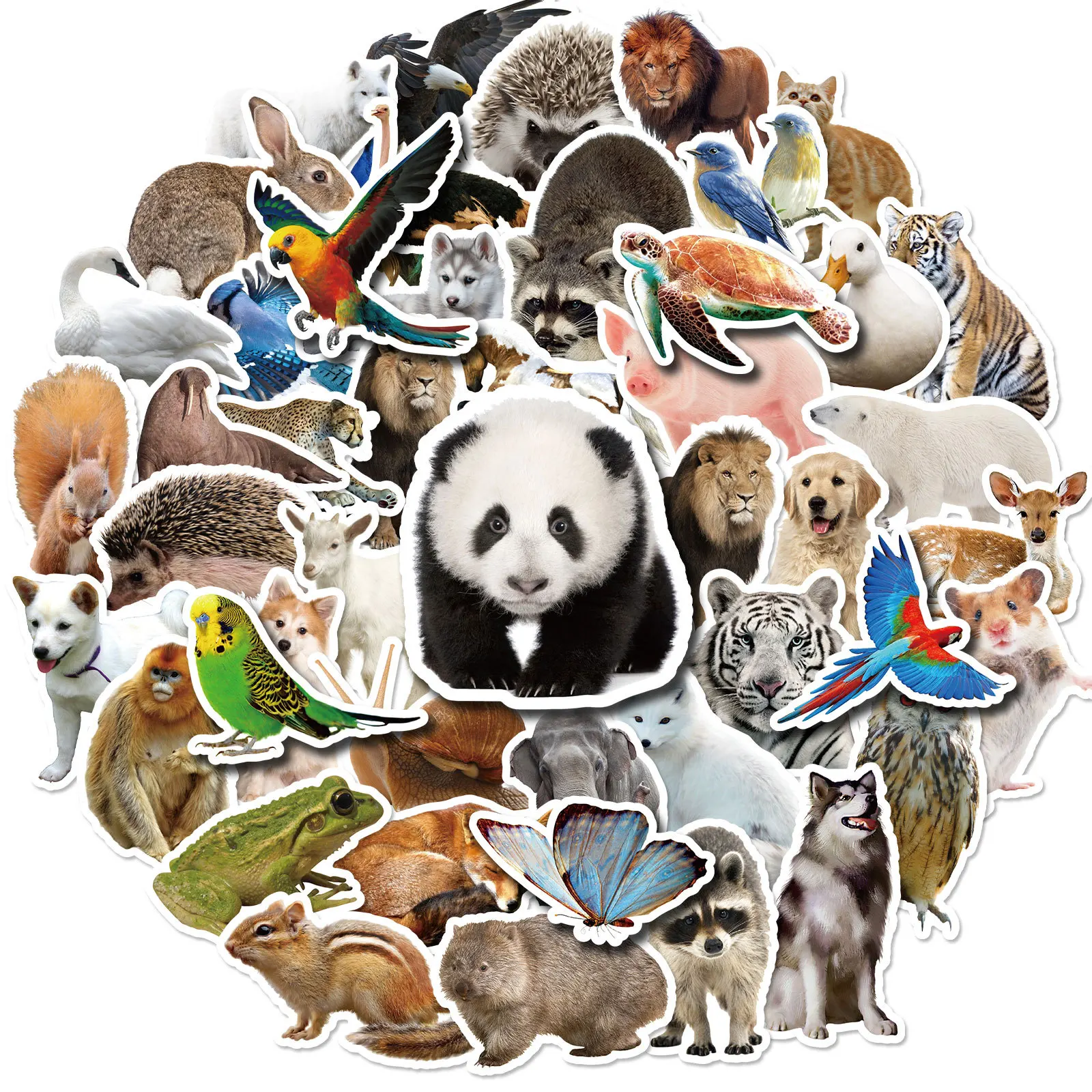 50Pcs Bird Stickers Realistic Zoo Animals Cool Graffiti Stickers For Children Refrigerator Water Bottles Stickers