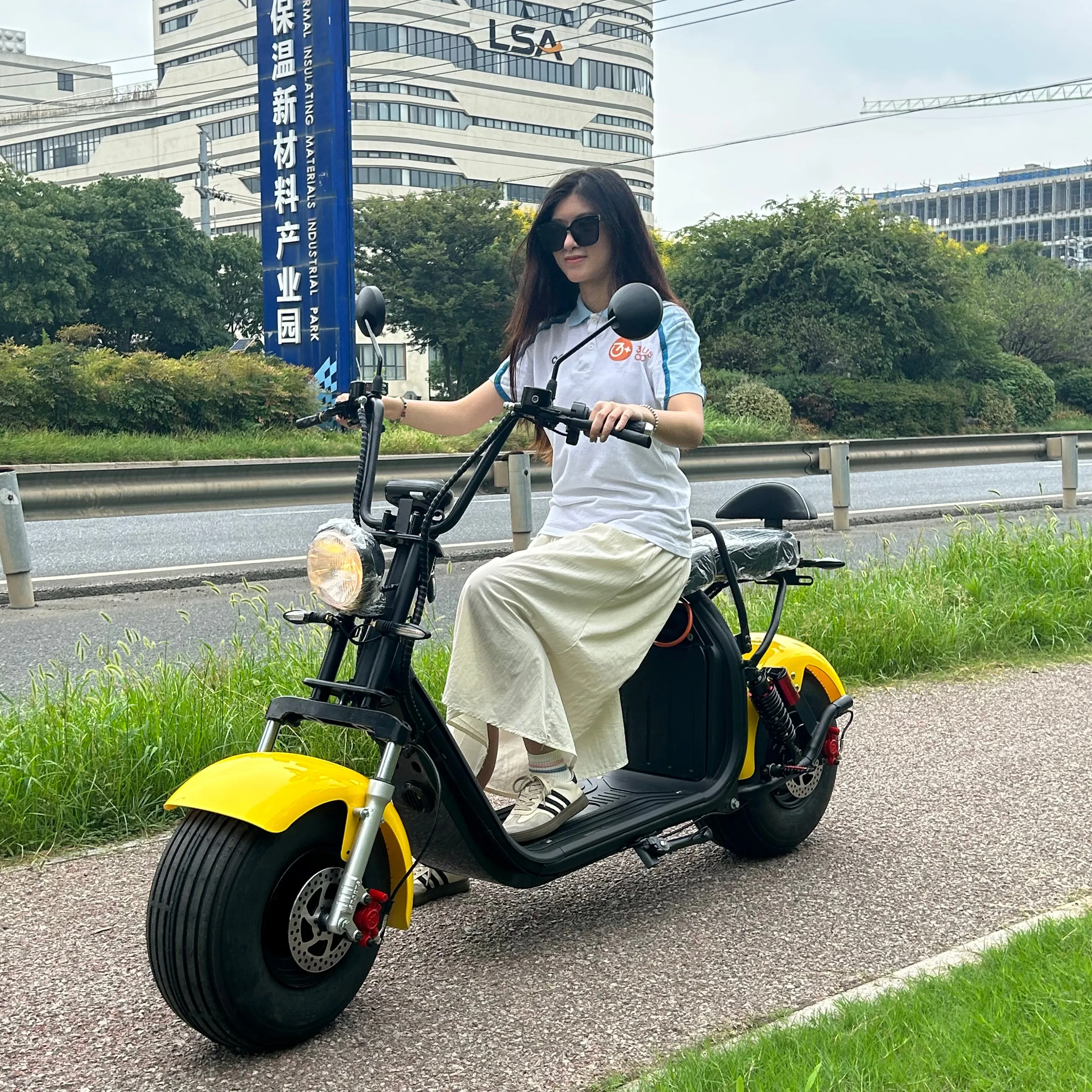 Electric Scooters With GPS 2000W Motors Anti-Theft Alarm For Sale Rent Business Electric Motorcycles For Adult Citycoco