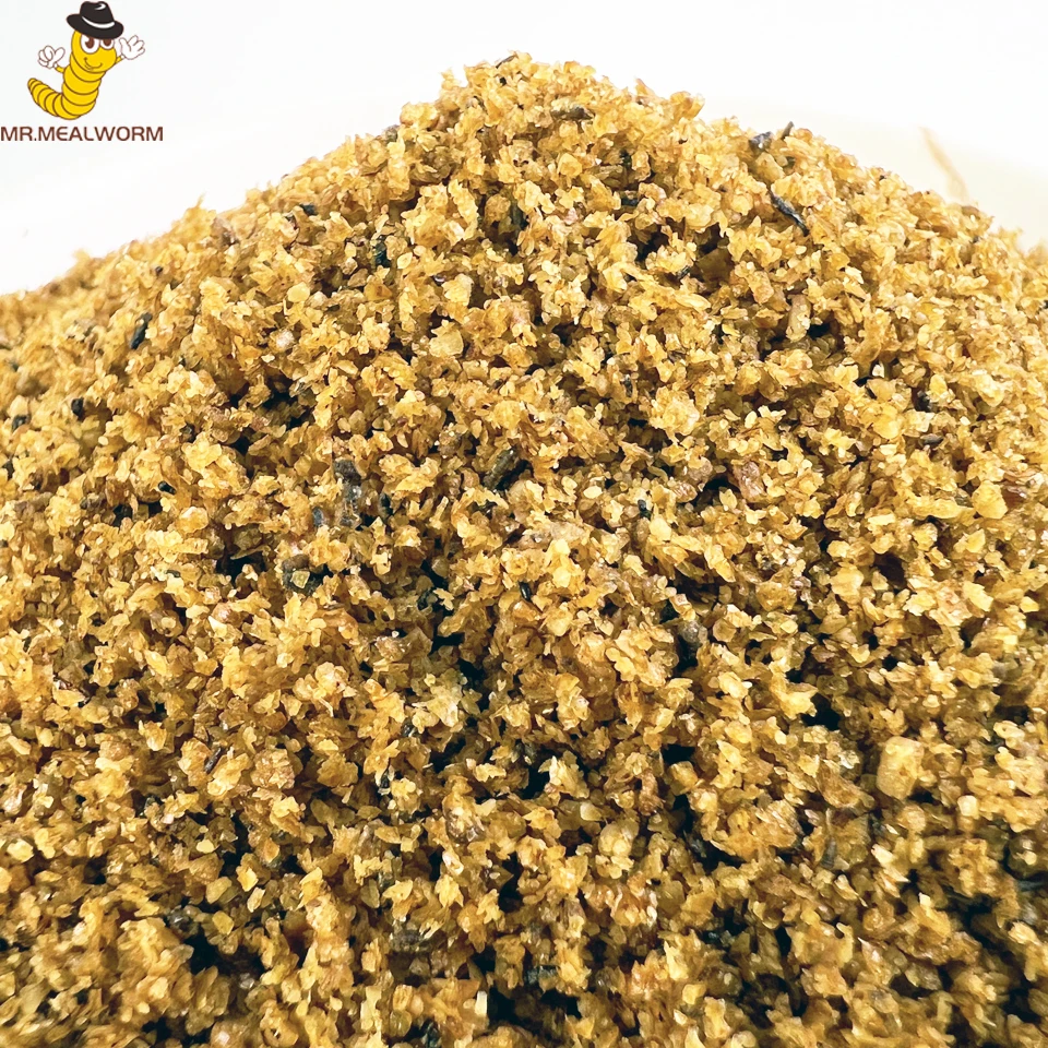 Dogs Application Dog Food