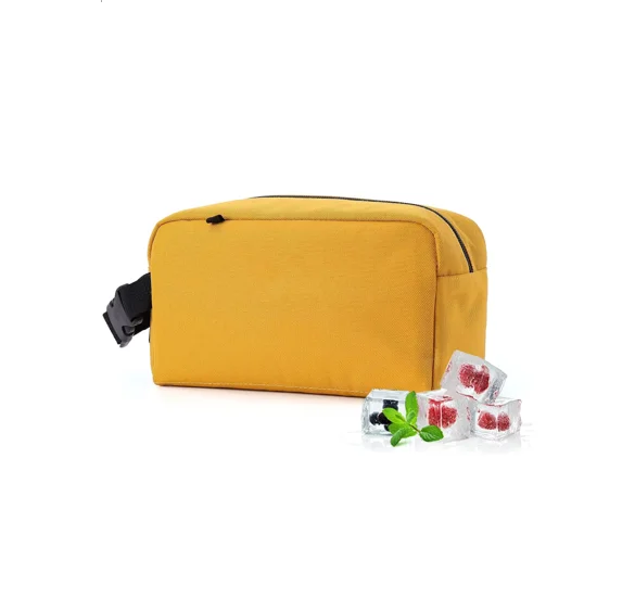 Small Freezable Leak-proof Cooler Bag Lunch Bag for Work School Travel Food Delivery Picnic Reusable Portable Camping Kid Adult