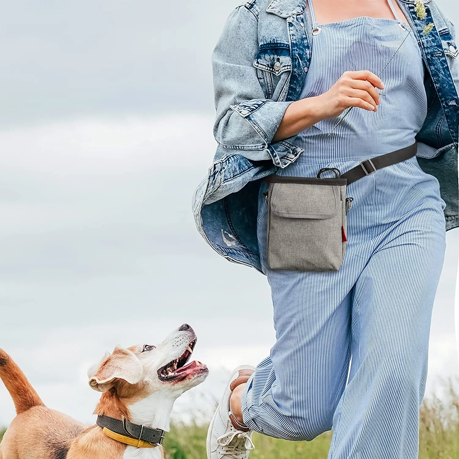 QQgift OEM на заказ сумка для собак прогулок и дрессировки щенков складная дорожная миска еды воды питомцев