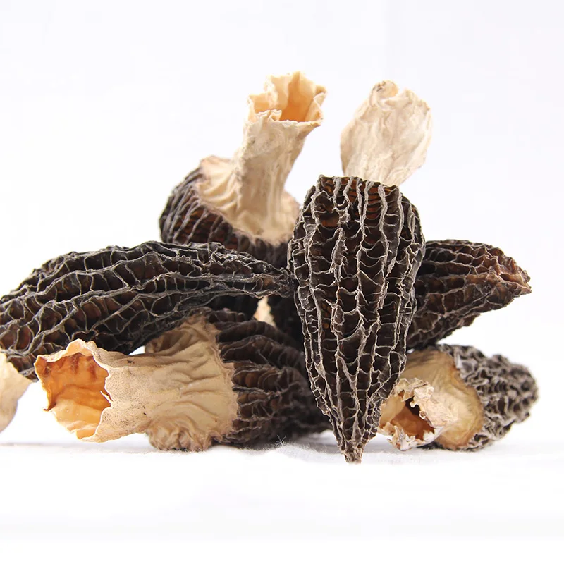 Factory Direct Supplydry good Price Fresh Dried Morchella mushroom From China