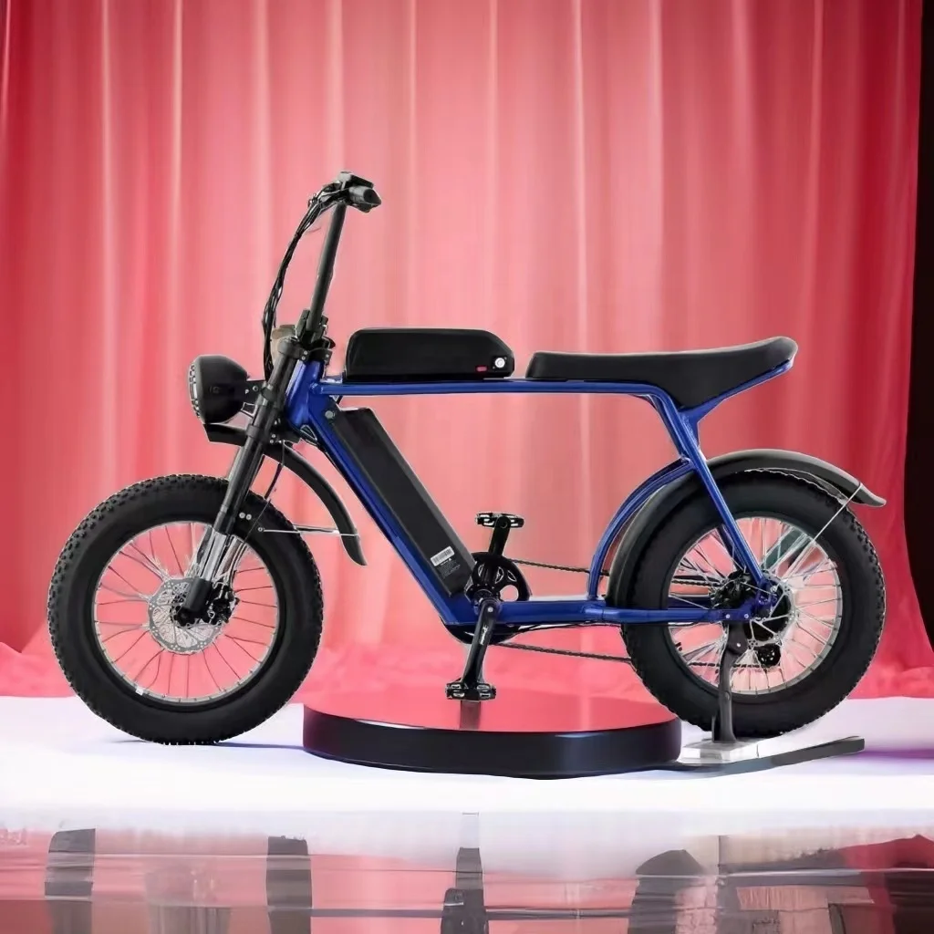 WT20 40Ah dual battery high power high quality 20 inch snow fat tire 500W-1000W off-road electric bike